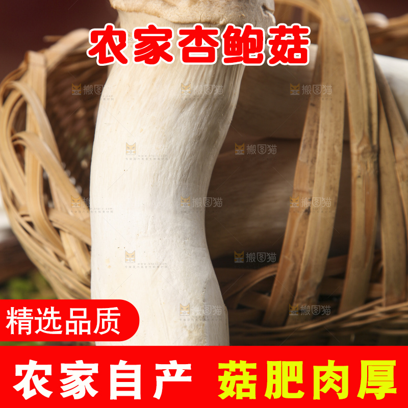 篮子里放着大鸡腿菇