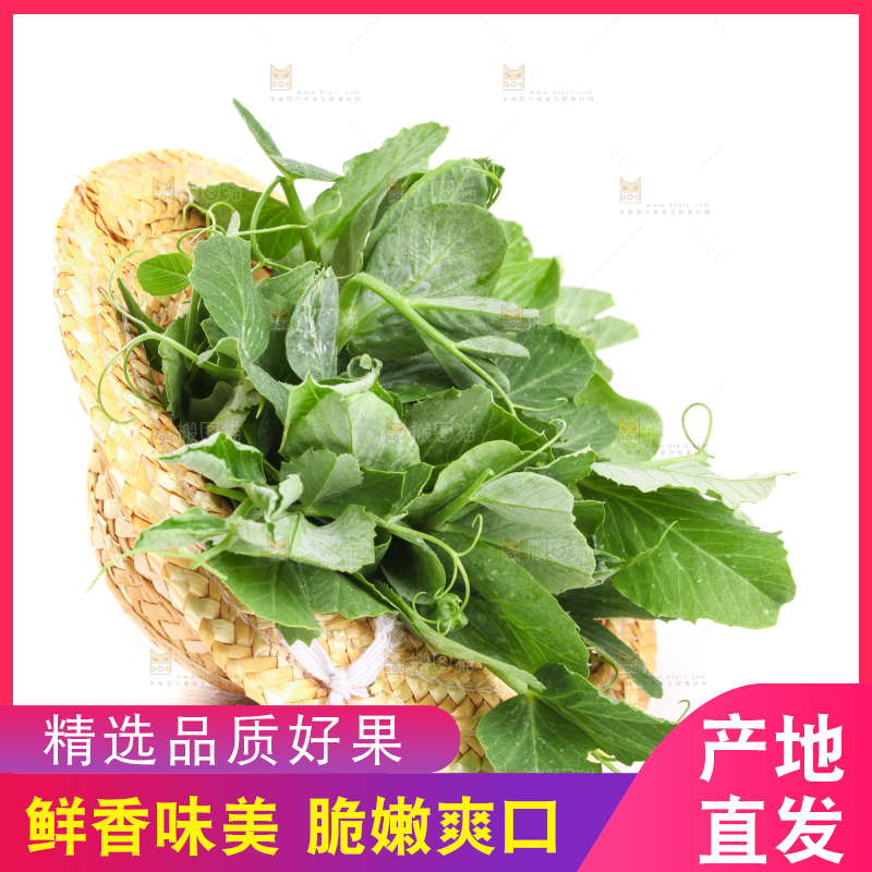 白底上摆放着新鲜豌豆苗