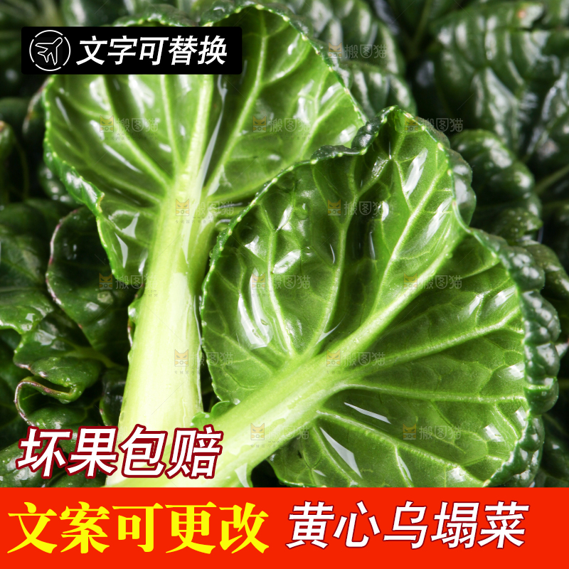 浅底上放着菊花菜