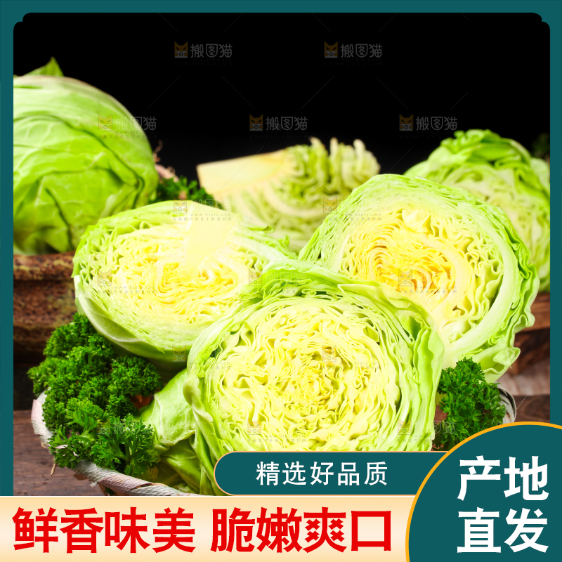 黑底上放着绿甘蓝