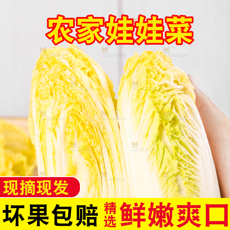 白格子底上的农家自种娃娃菜