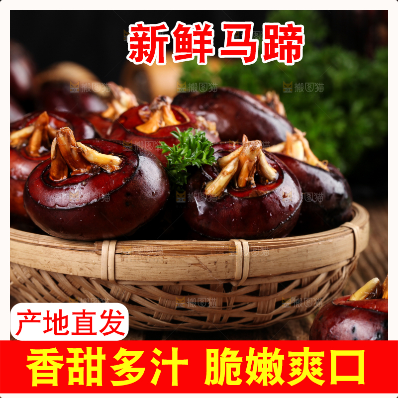 篮子里的红马蹄