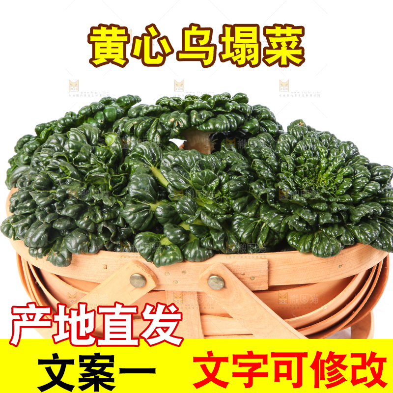 篮子里装着乌塌菜