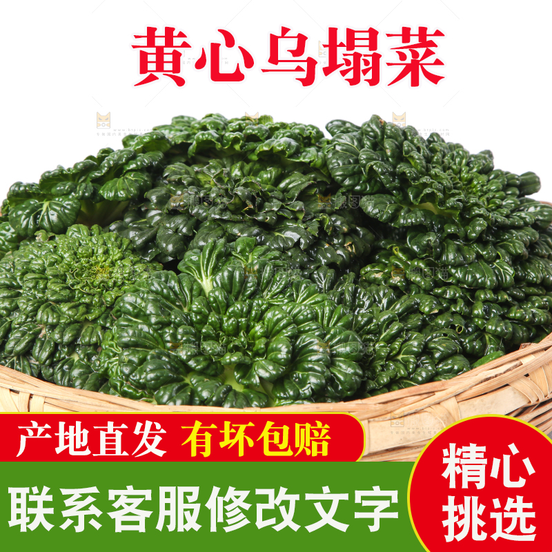 篮子里装着乌塌菜