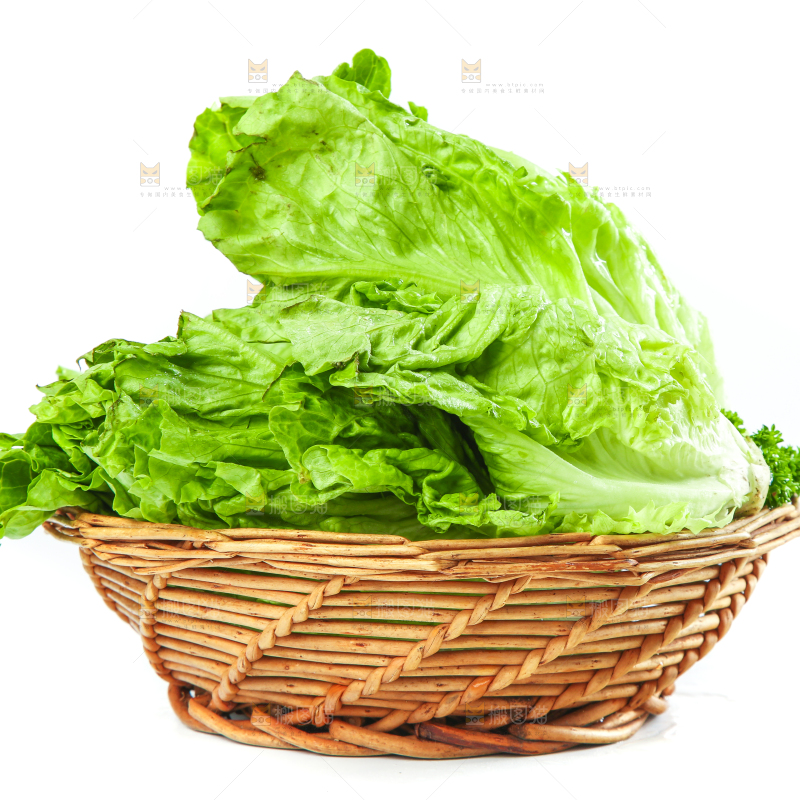 篮子里装着奶油生菜