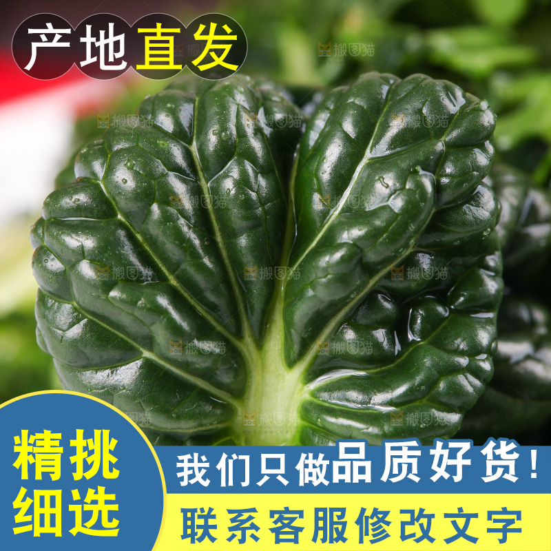 浅底上放着菊花菜