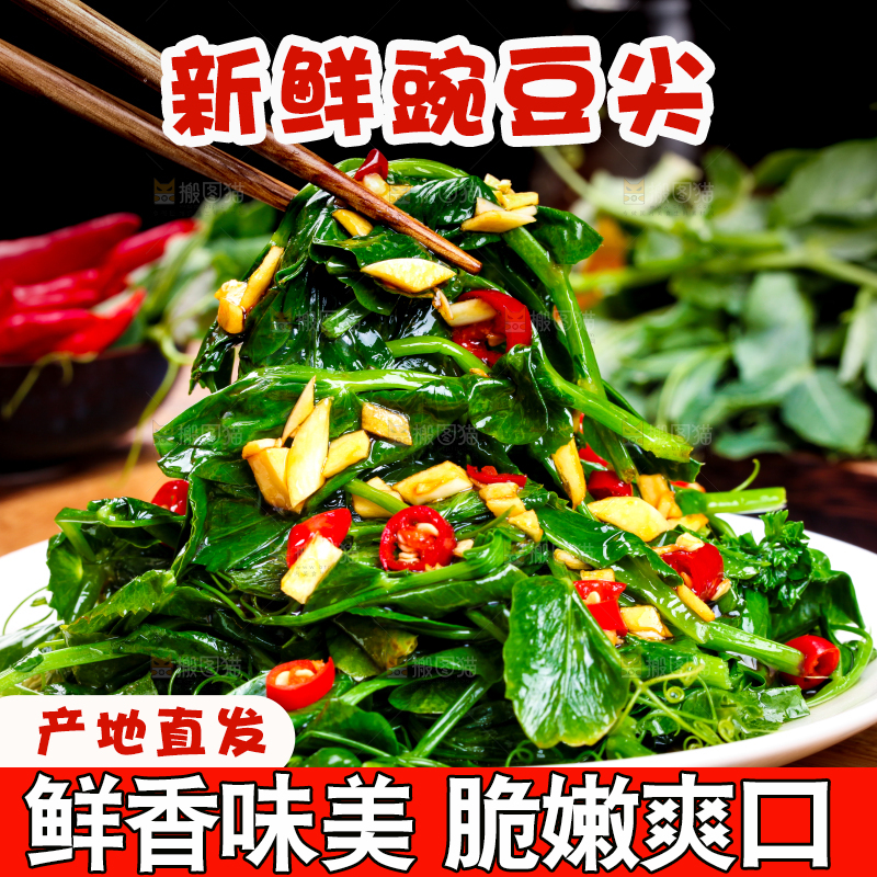 盘子里装着炒豌豆尖