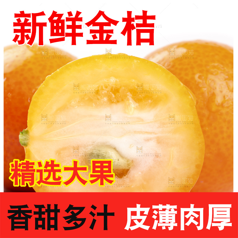 白底上的阳朔脆皮金桔