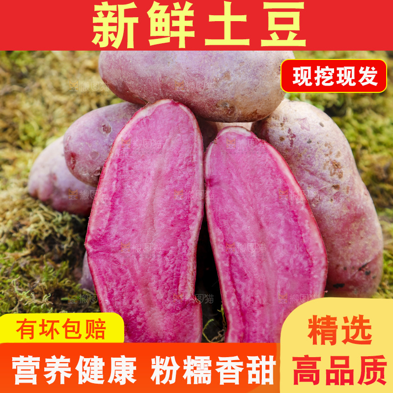 草地上放着红色马铃薯