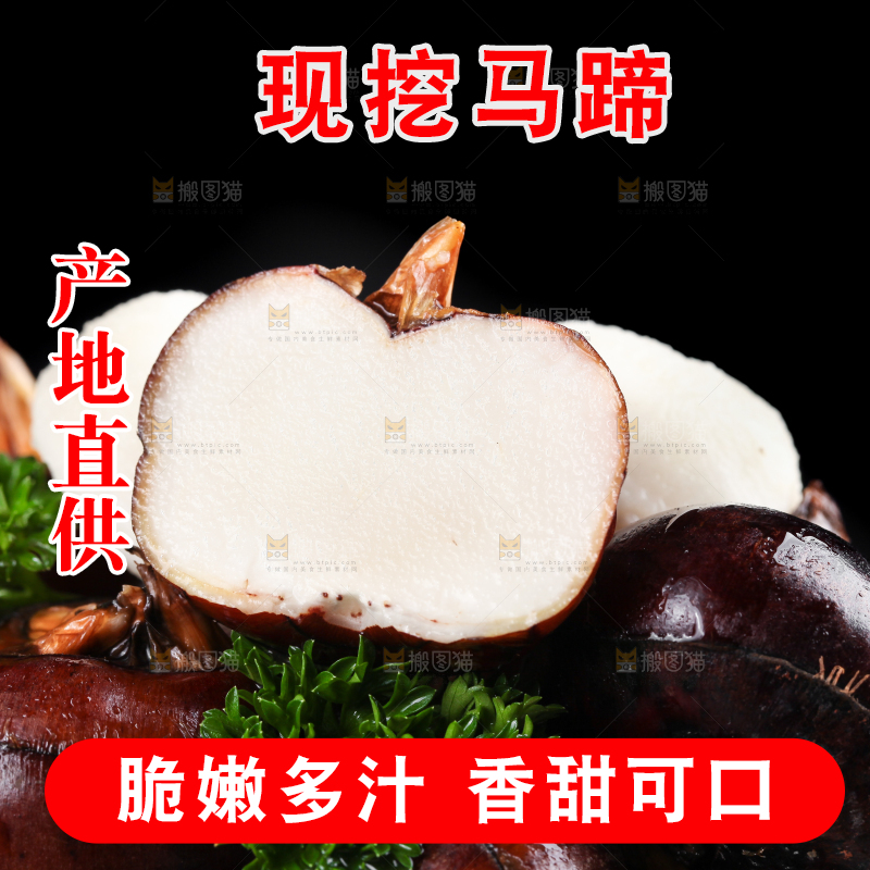 深底上的广西荔浦马蹄