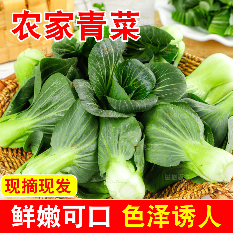 盘子里装着苏州青