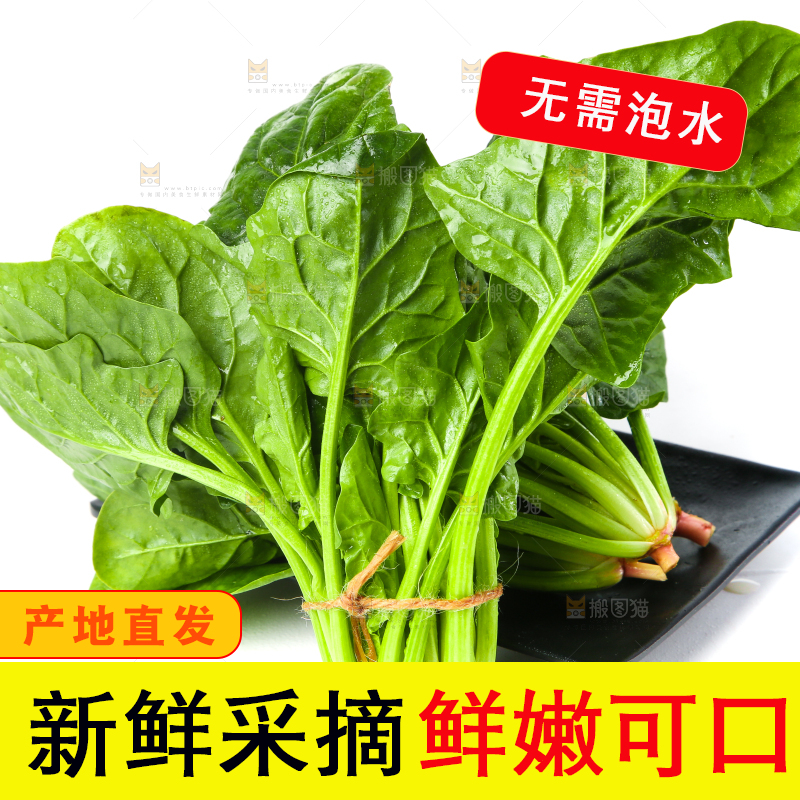 白底上放着菠菜