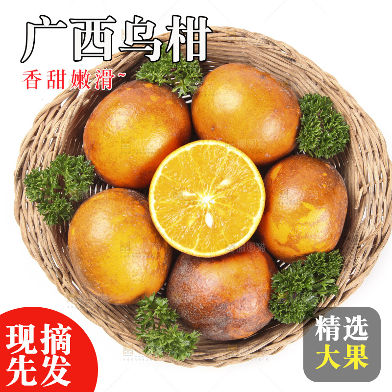 篮子里的广西乌柑