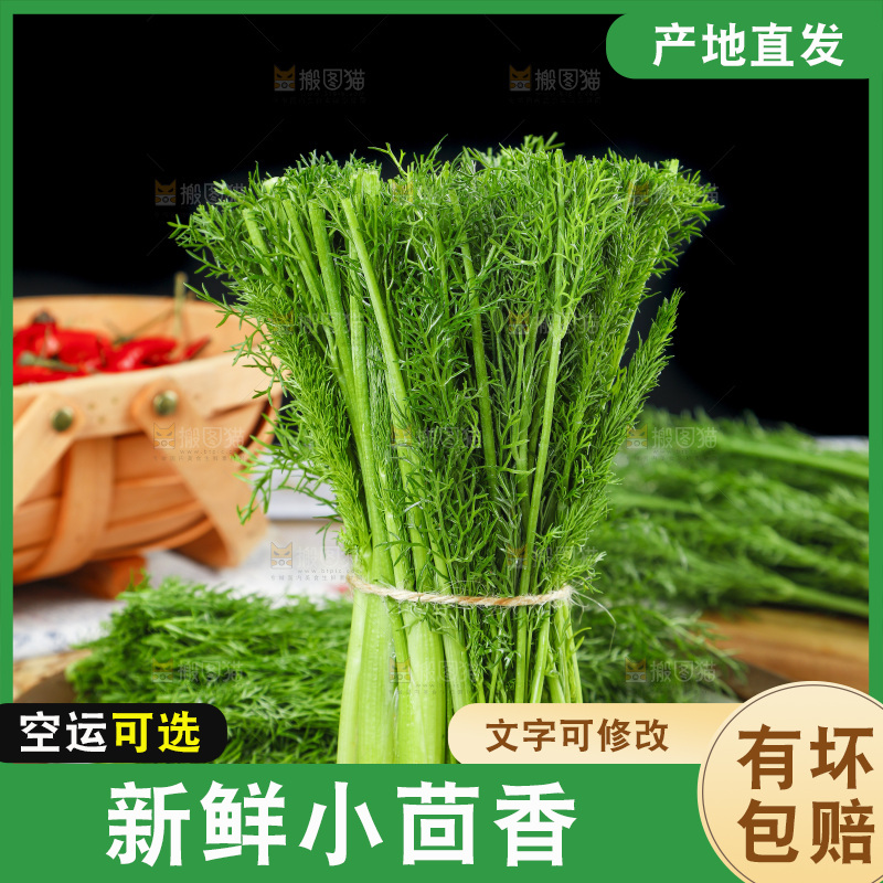 盘子里装着农家茴香菜