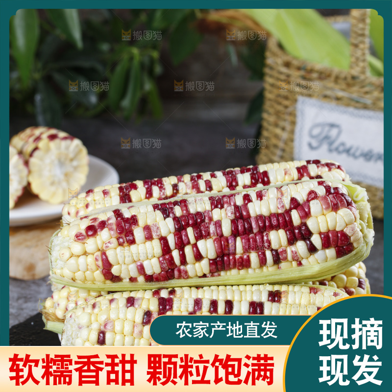 石板上放着一盘香糯玉米