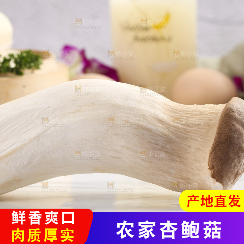 石板上摆放着鸡腿菇