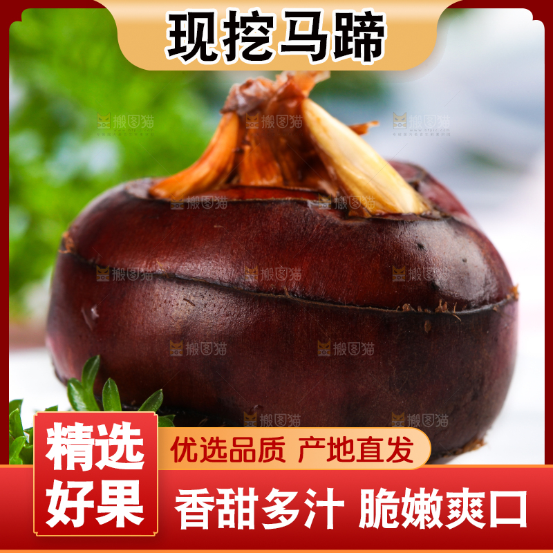 石板上的马蹄果