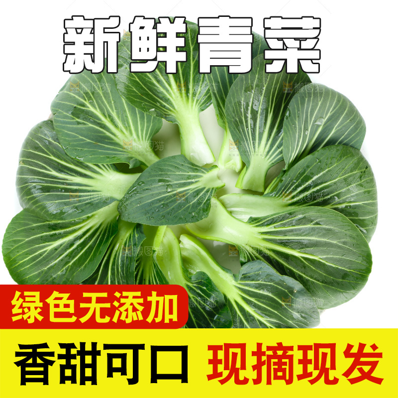 白底上的绿叶菜