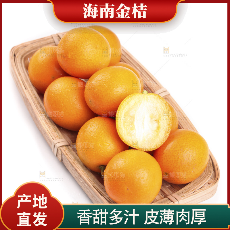 白底上的阳朔脆皮金桔