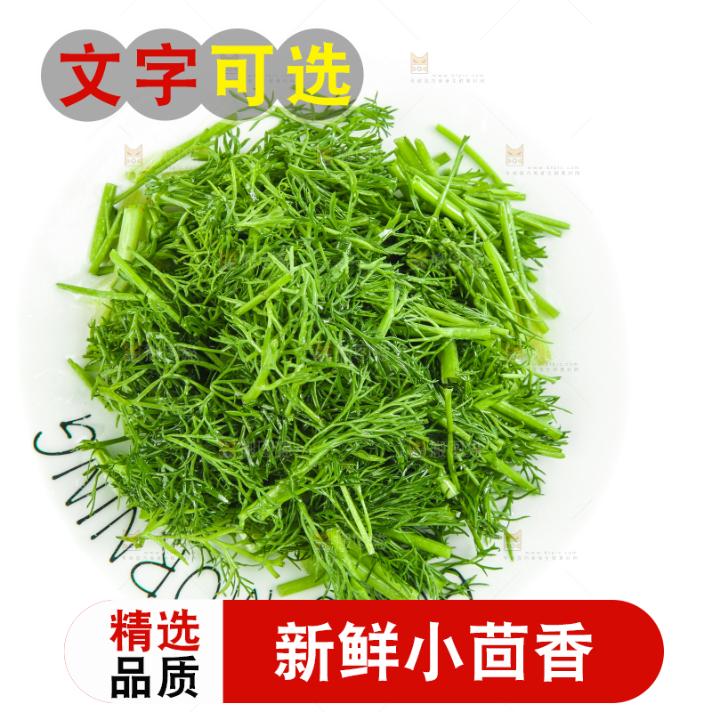 白底上放着小茴香