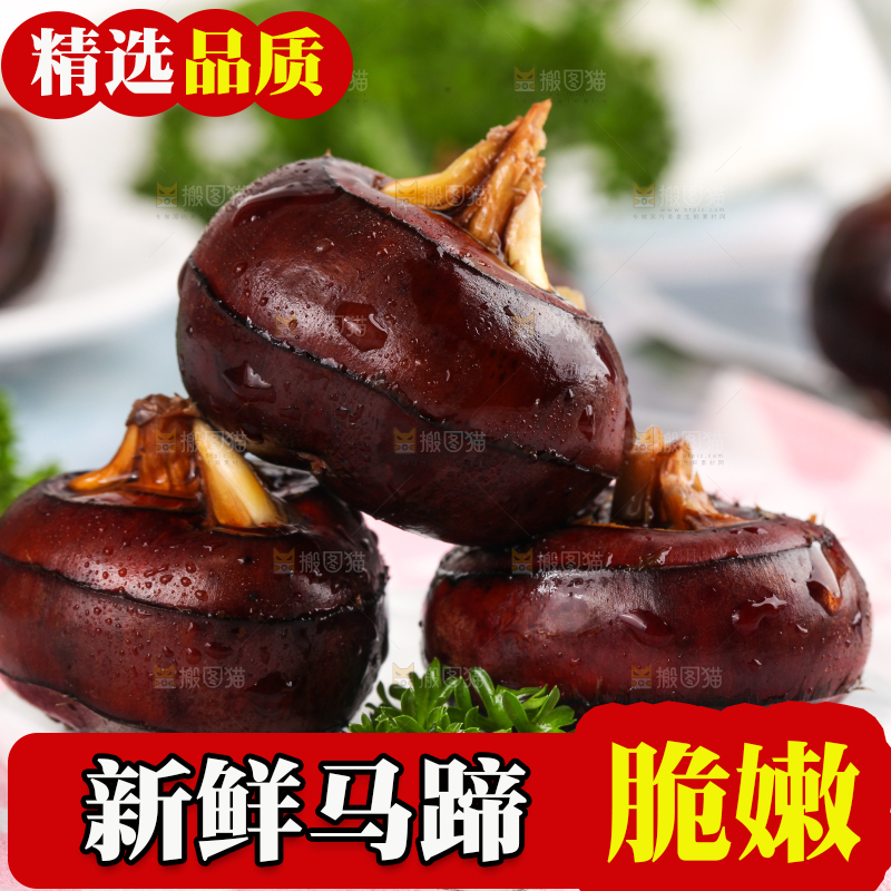 彩底上放着红马蹄