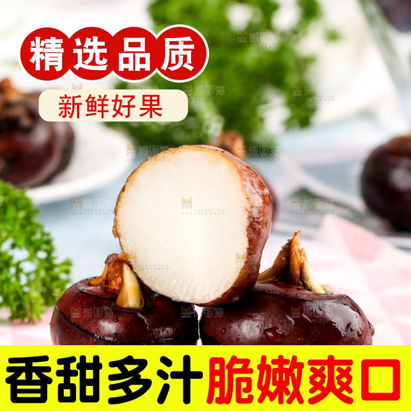 彩底上放着红马蹄