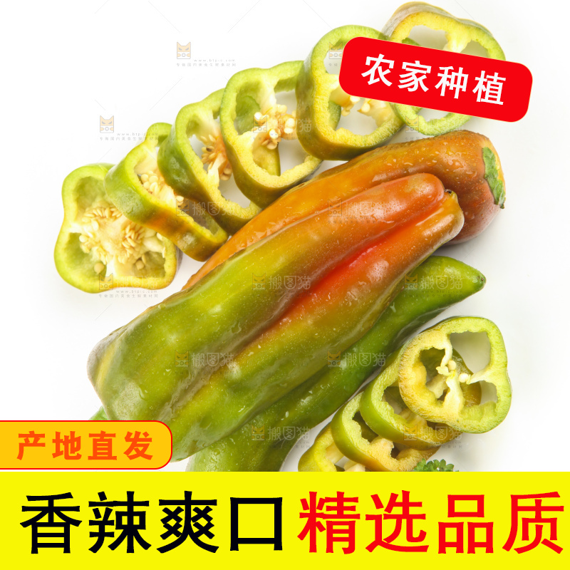白底上的彩色辣椒