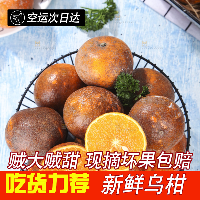 框子里装着新鲜乌柑