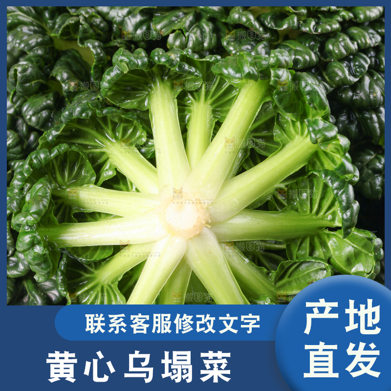 浅底上放着菊花菜