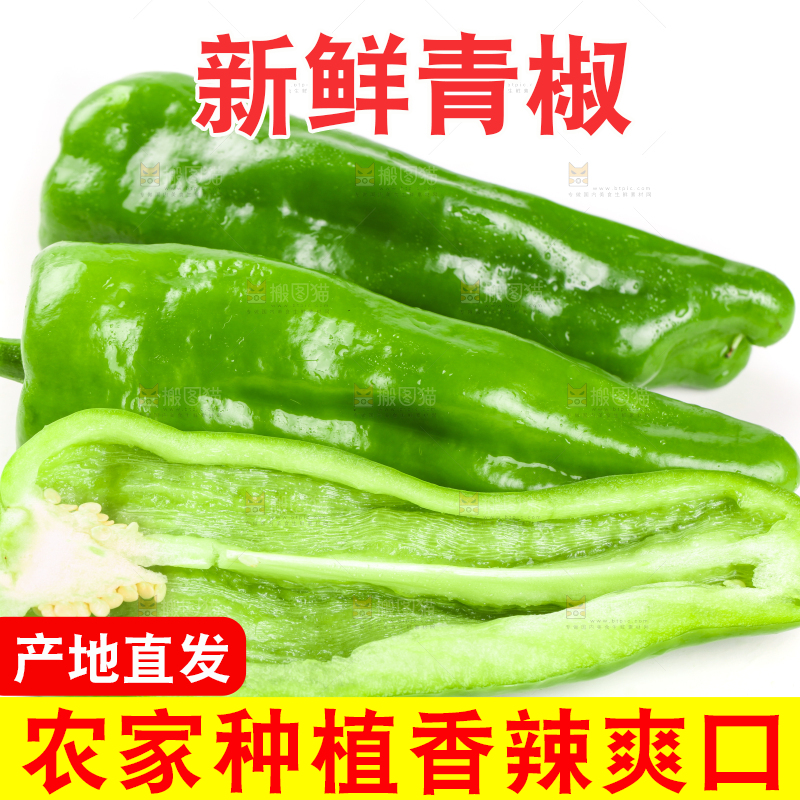 白底上放着湖北青椒