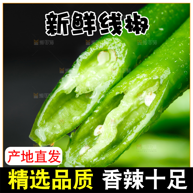 手里拿着二荆条辣椒