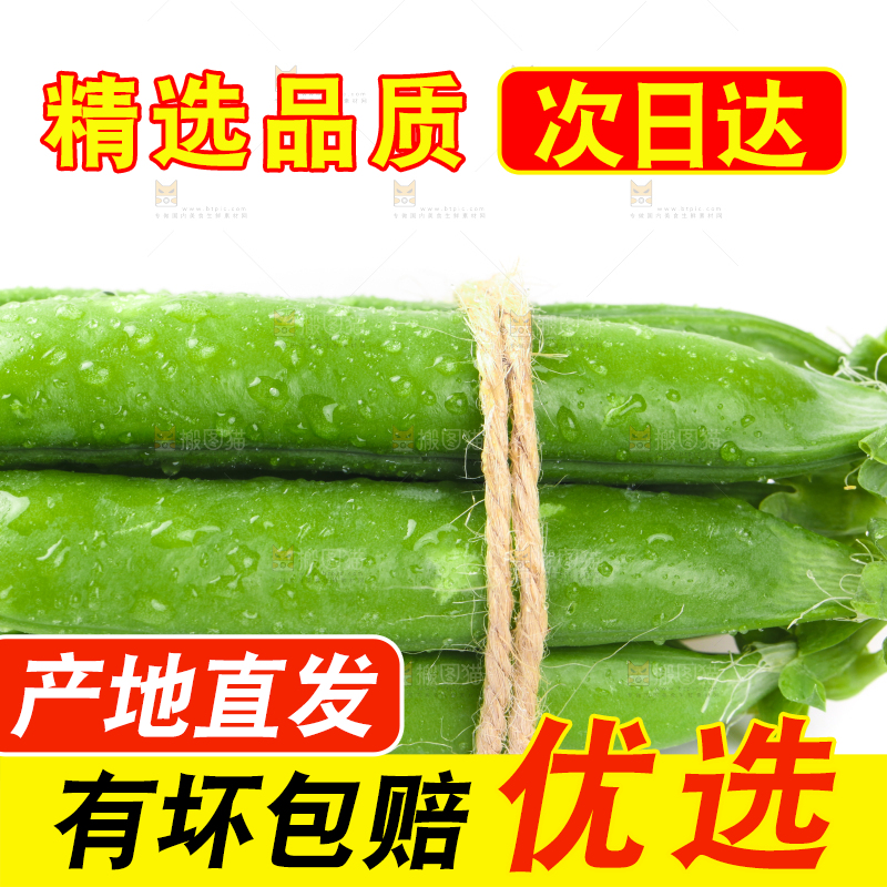 白底上放着一捆新鲜豌豆