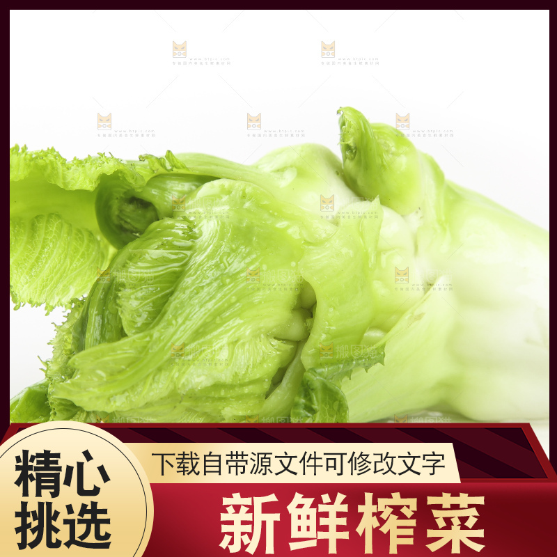 白底上的大头菜疙瘩