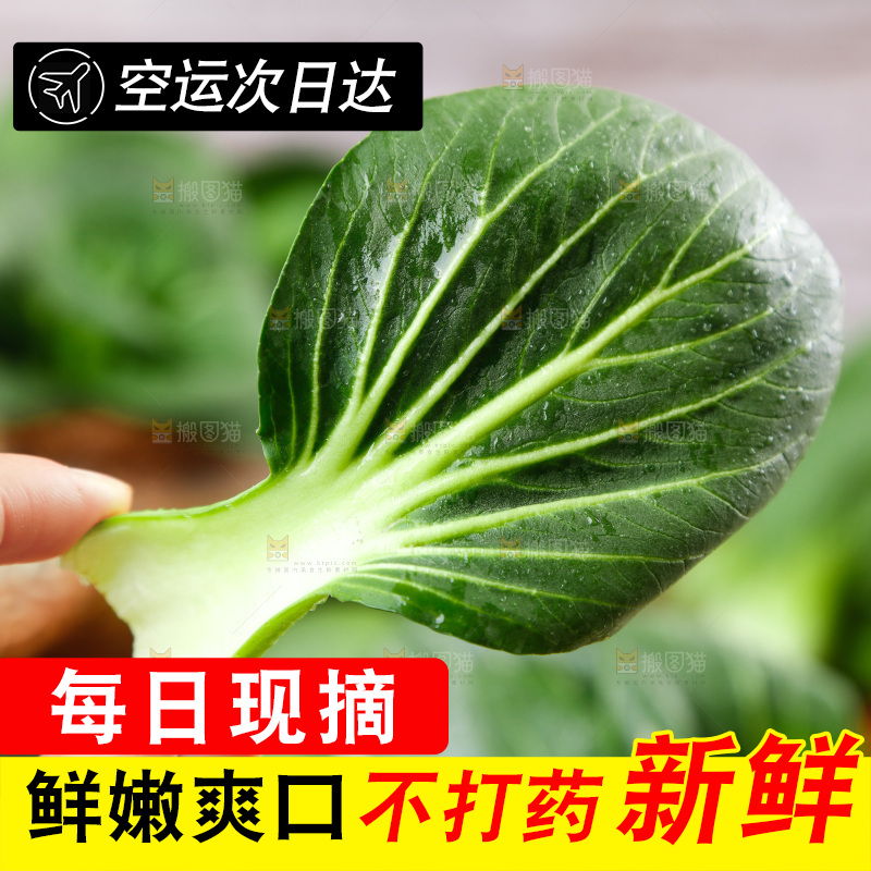 手里拿着新鲜青菜