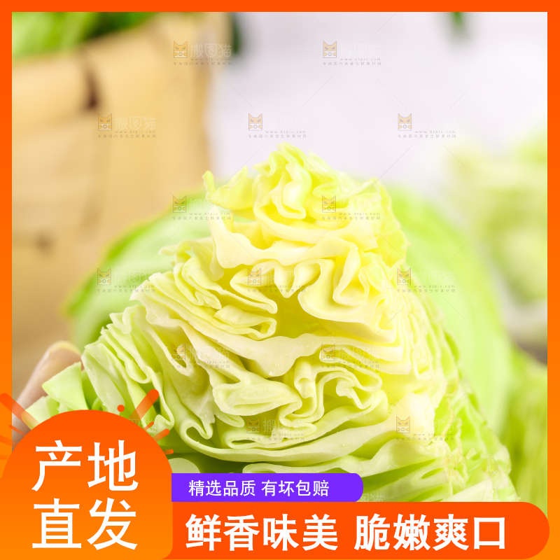 手里拿着新鲜洋白菜