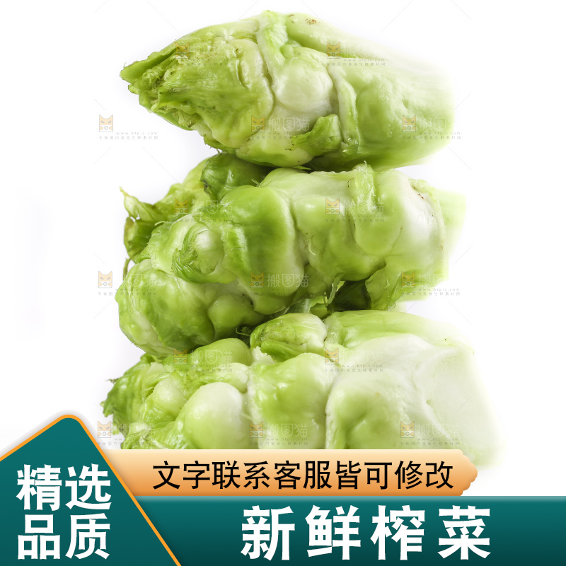 白底上的光头菜