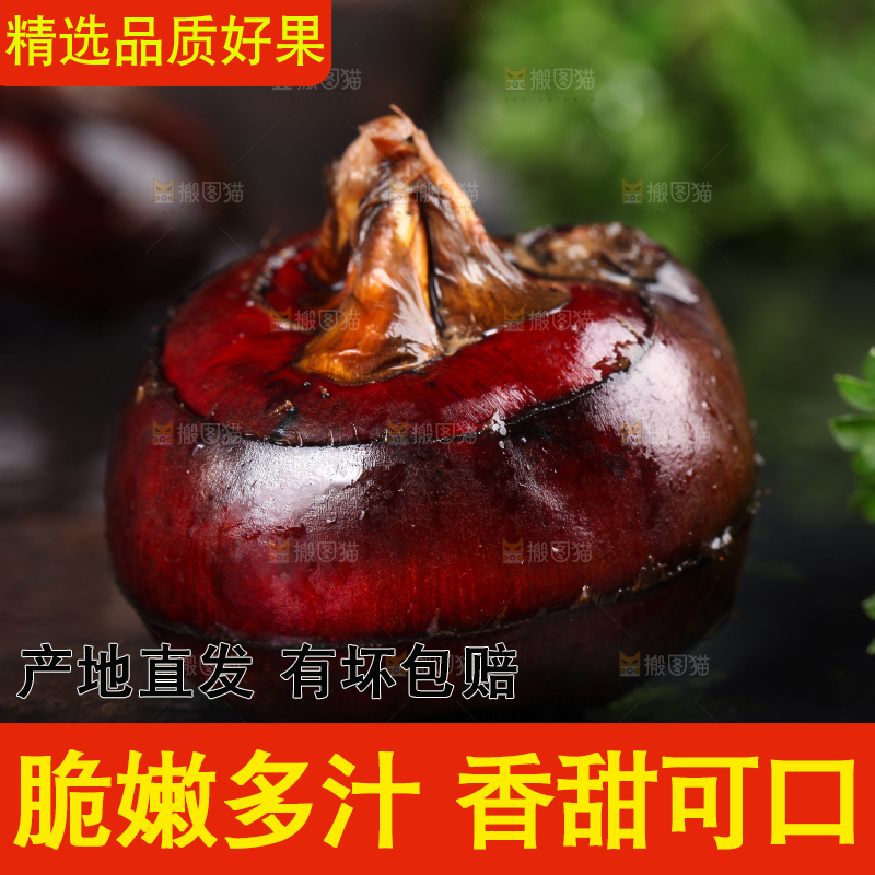 黑石板上的荸荠
