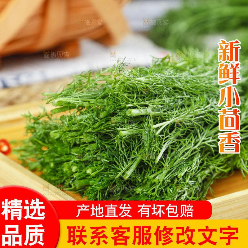 盘子里的云南小茴香菜