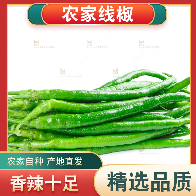 白底上放着二荆条辣椒