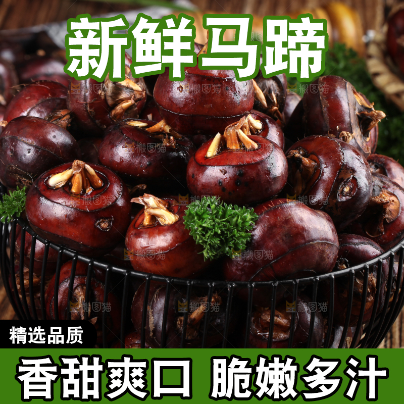 深底上的广西荔浦马蹄