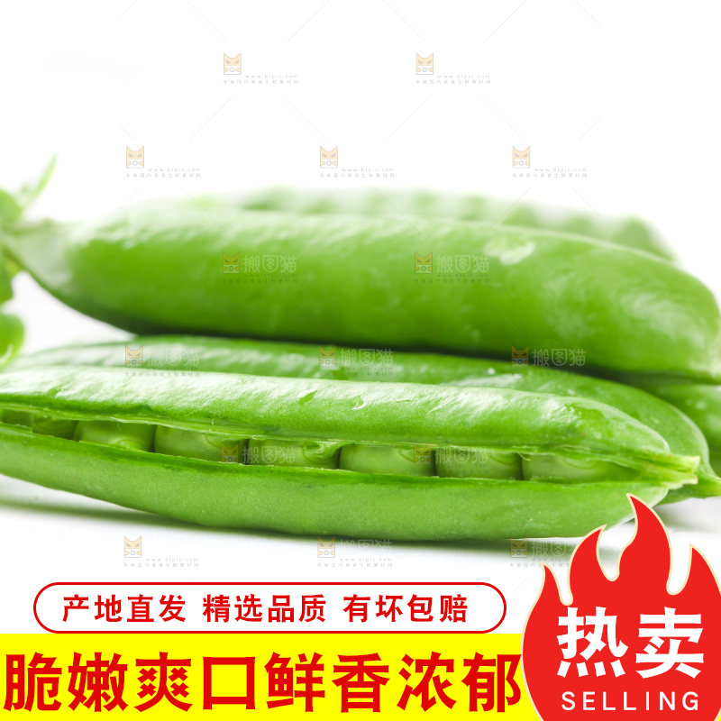 白底上的新鲜豌豆