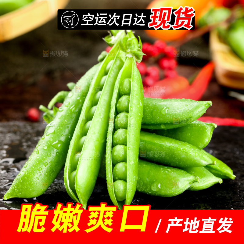 黑底上的青豌豆