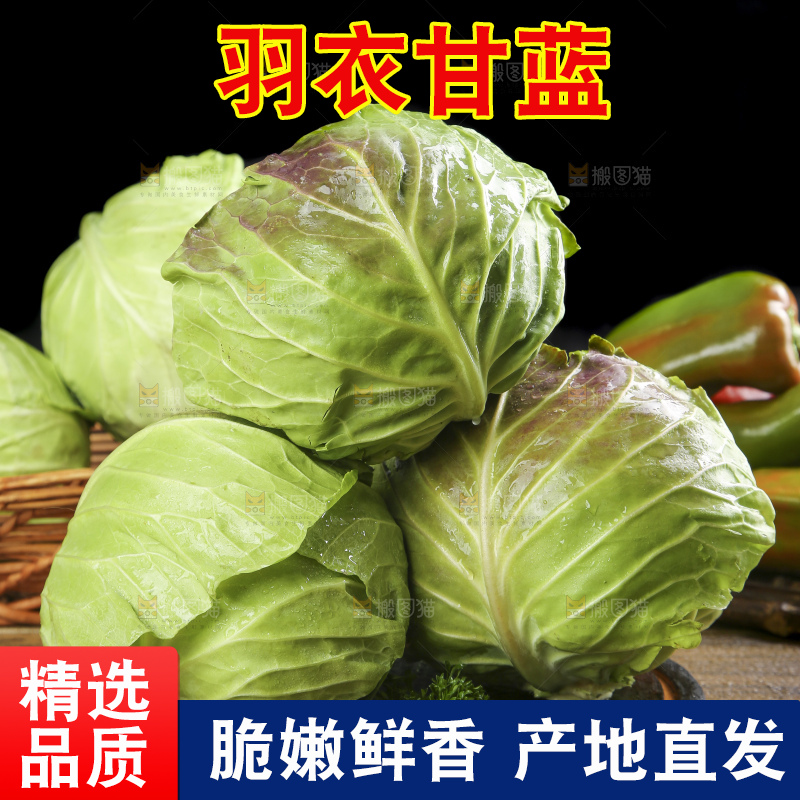 木板上摆放着卷心菜