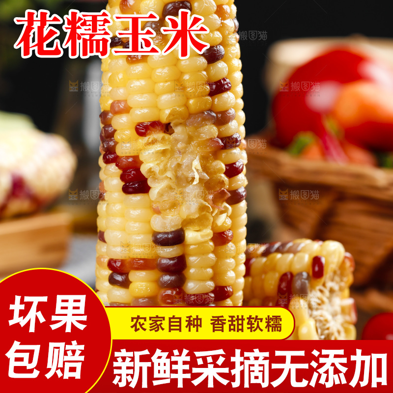 木底上的熟花糯玉米