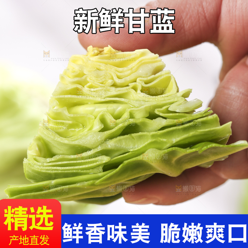 手里拿着洋白菜