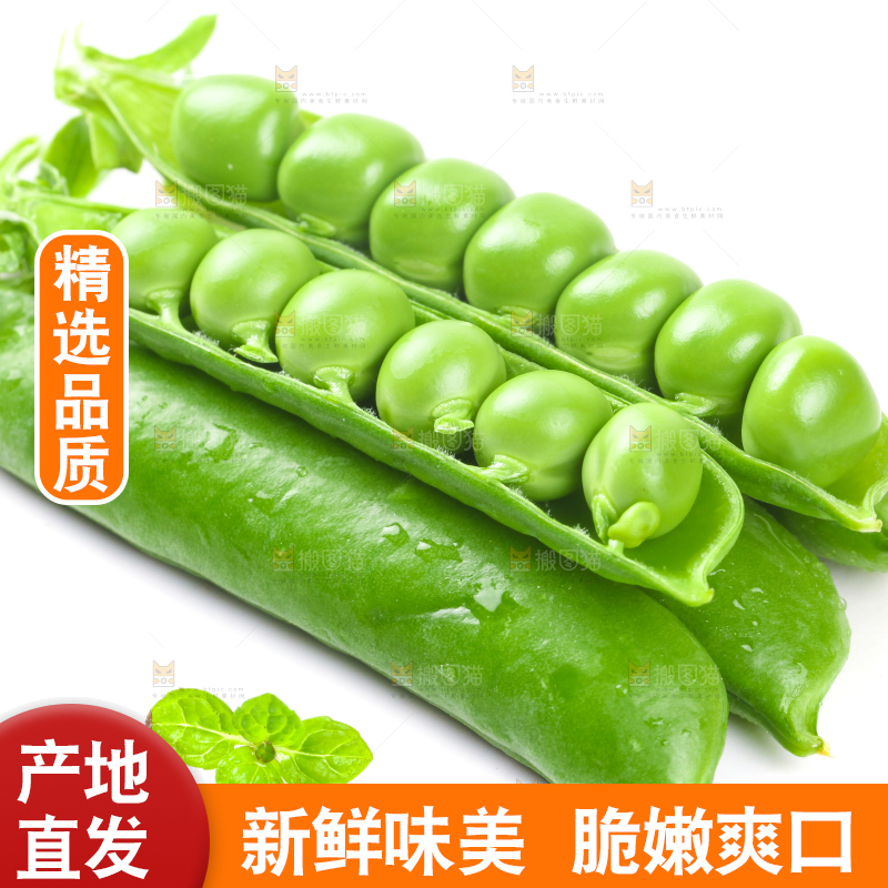 剥开的新鲜豌豆放在白底上
