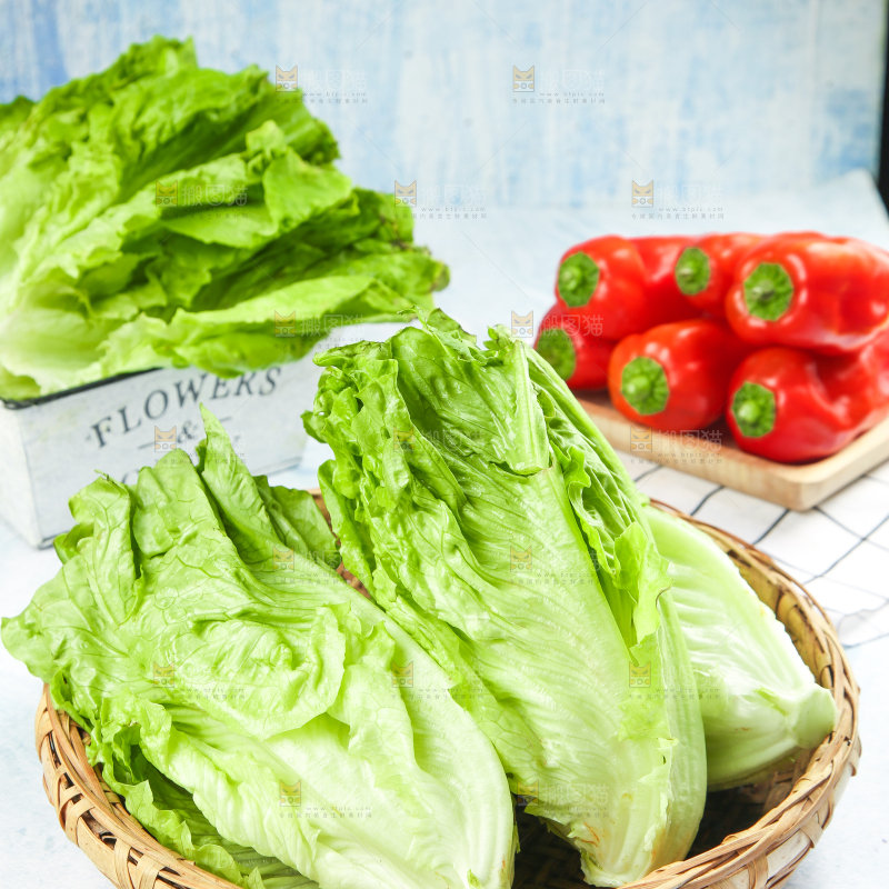 篮子里装着奶油生菜