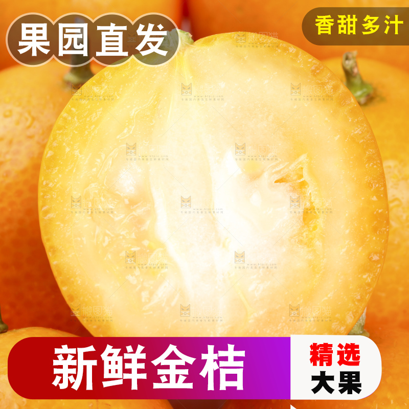 白底上的阳朔脆皮金桔