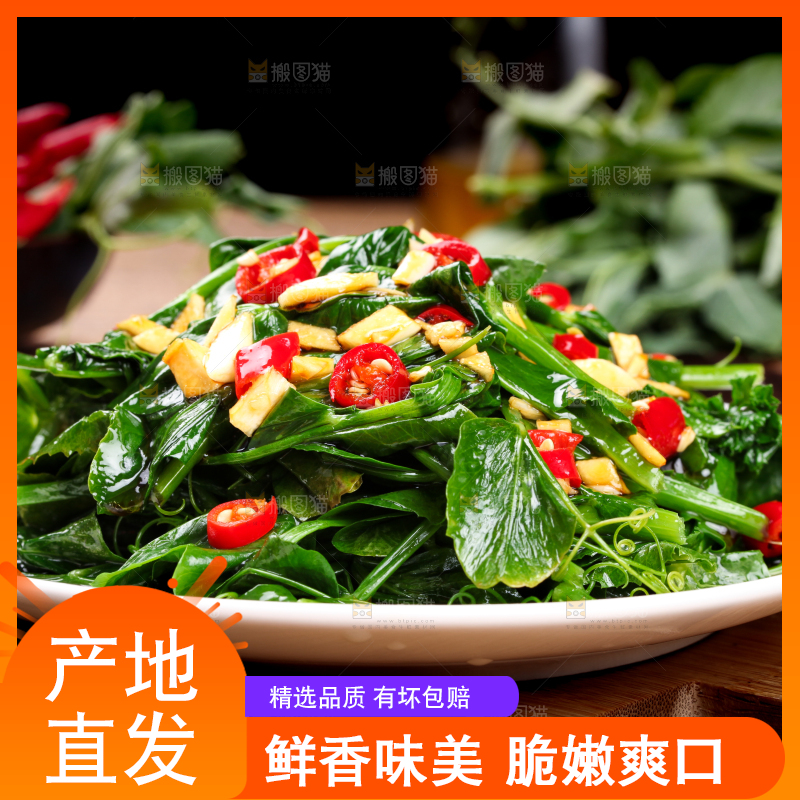 盘子里装着炒豌豆尖