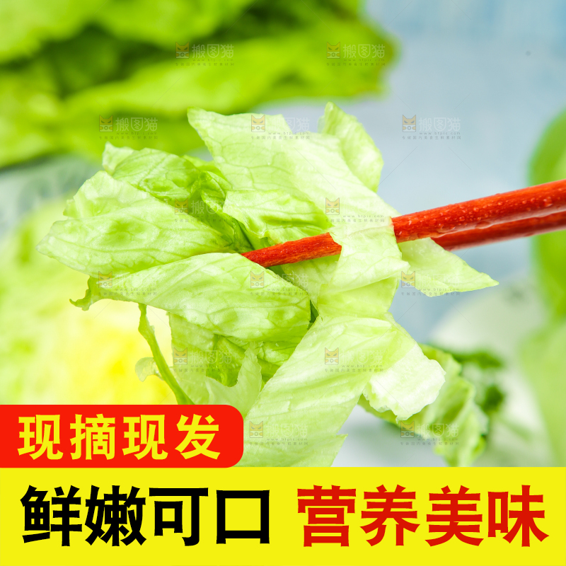 盘子里装着球生菜